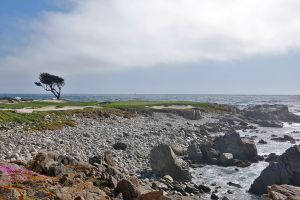 MPCC (Dunes) 14th Coast